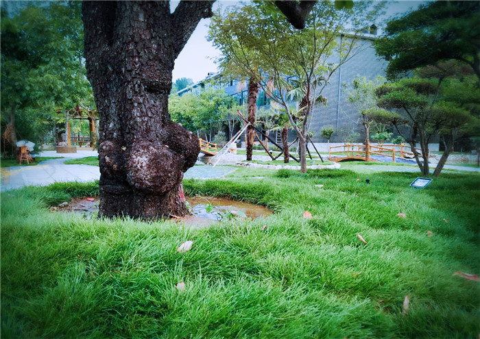 校園